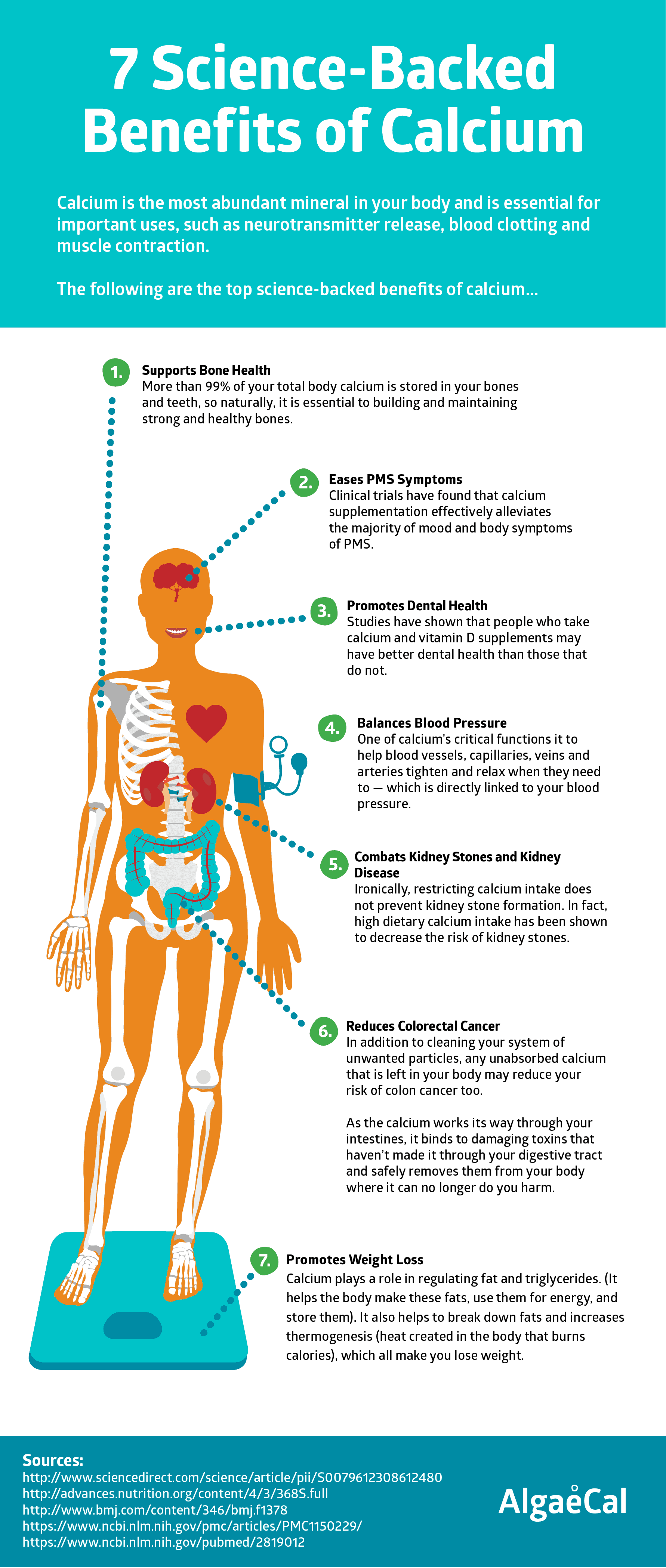 why our body needs calcium