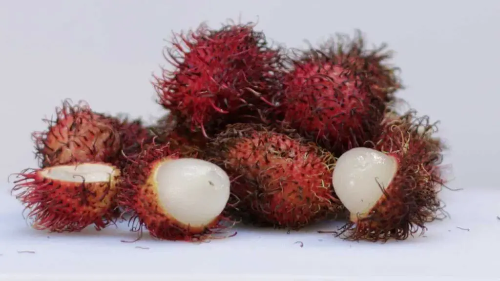 Learn How to Eat Rambutan – It’s Easy! » Webnews21