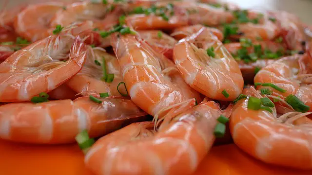 Can you eat shrimp shells or cook with it?