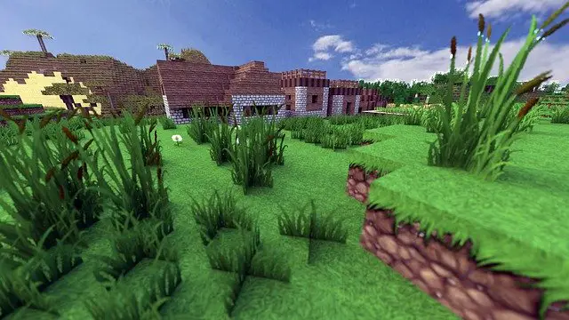 How to grow Sugarcane in Minecraft