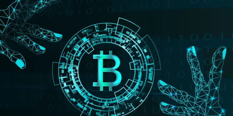 Why is it important to have a trusted crypto hunter to help recover blockchain wallets?