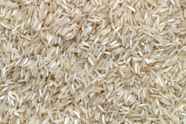 Does Rice turn into Maggots? How Long does It take for Oil Rice?