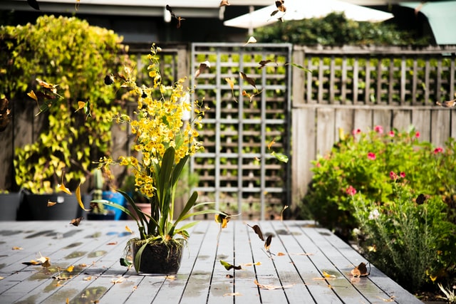 How to set up a garden design business