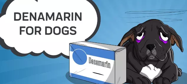 Can a Dog Overdose on Denamarin?