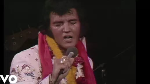 Elvis - Did He Die on the Pot?