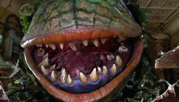 Audrey III and the Little Shop of Horrors Plant
