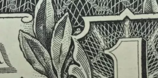 Is There a Spider on the Dollar Bill?