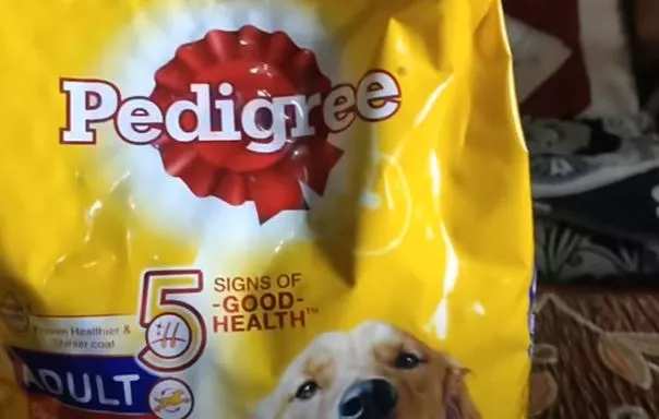 Pedigree Bad Dog Food