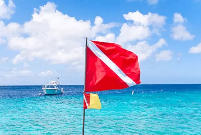 What Does a Diver Down Flag Look Like? 
