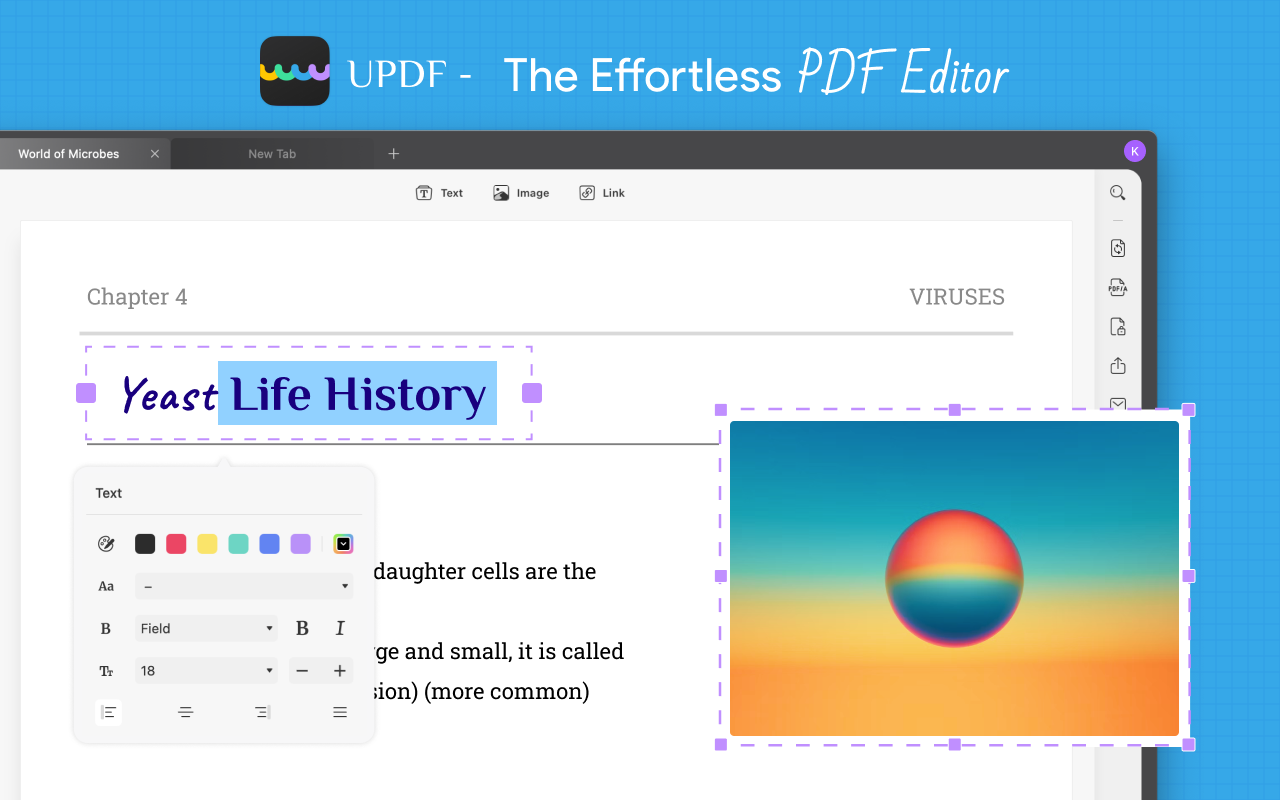 The Most Reliable PDF Editor for Windows and Mac - UPDF