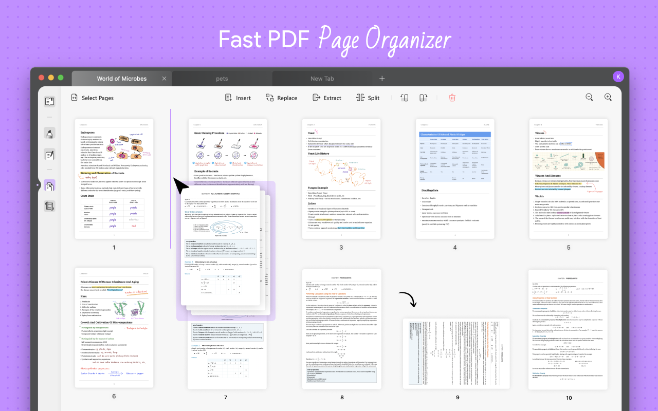 The Most Reliable PDF Editor for Windows and Mac - UPDF