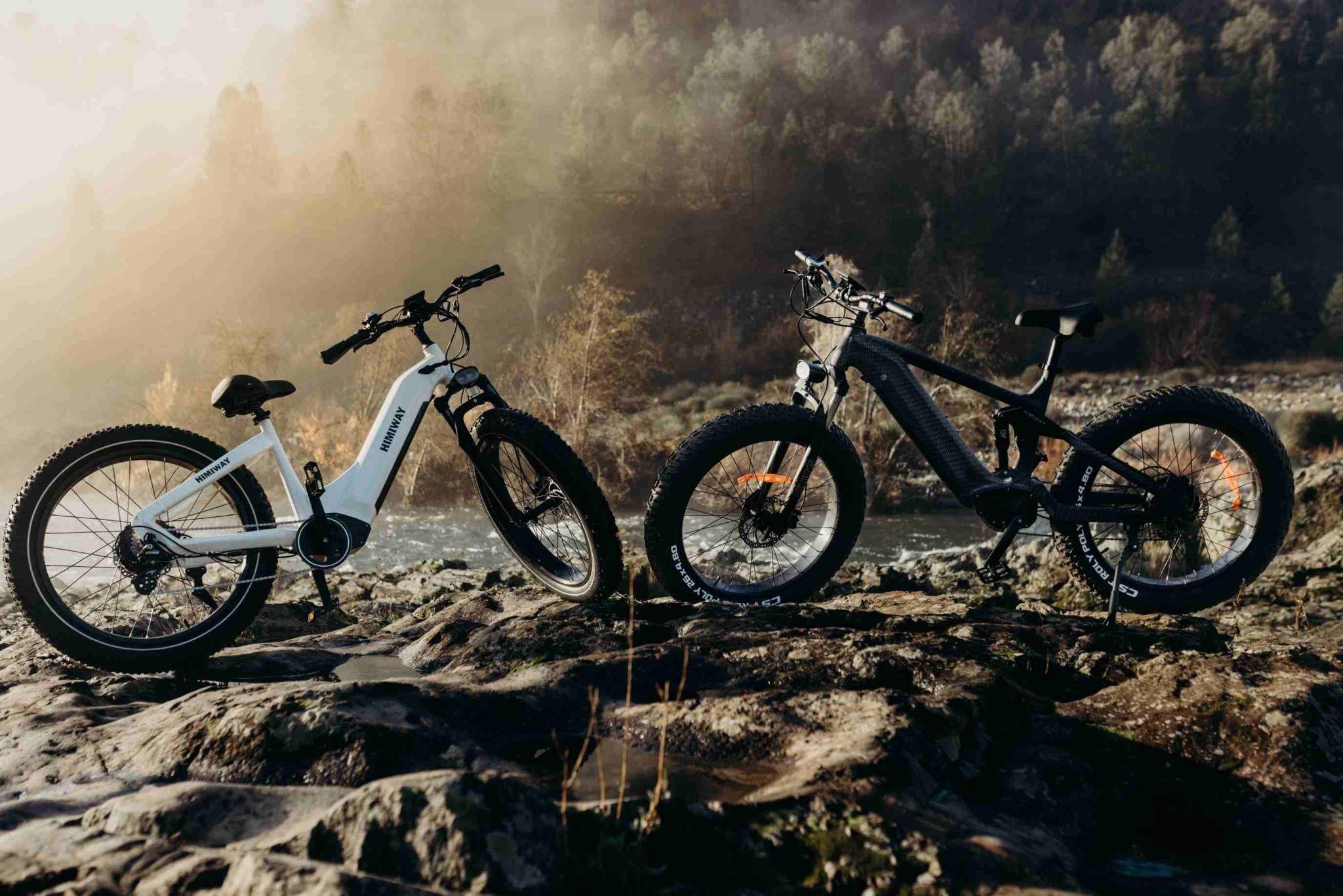 Which Is Better: Step-through or Step-Over E-Bikes?