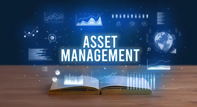 Developing a Digital Asset Management Software Strategy