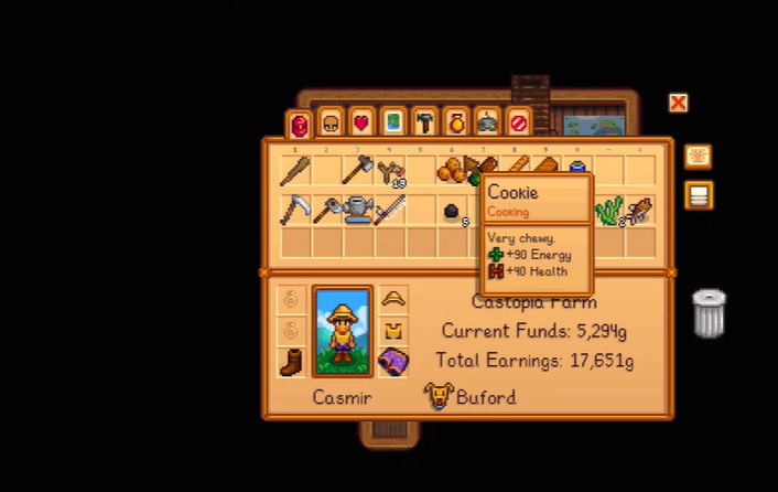 Reasons For a Messy House In Stardew Valley