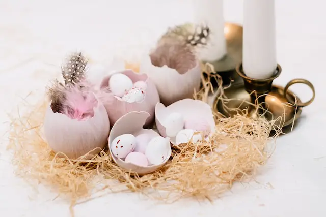How Do You Feed Eggshells To Dogs?