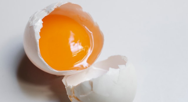 Are Raw Eggs And Eggshells Good For Dogs?