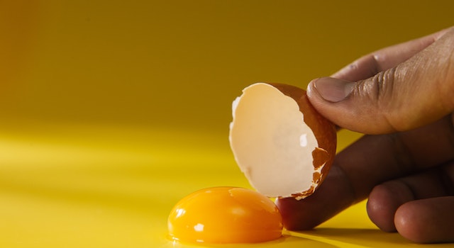 Can Dogs Eat Eggshells? Do You Have To Grind Eggshells For Dogs?
