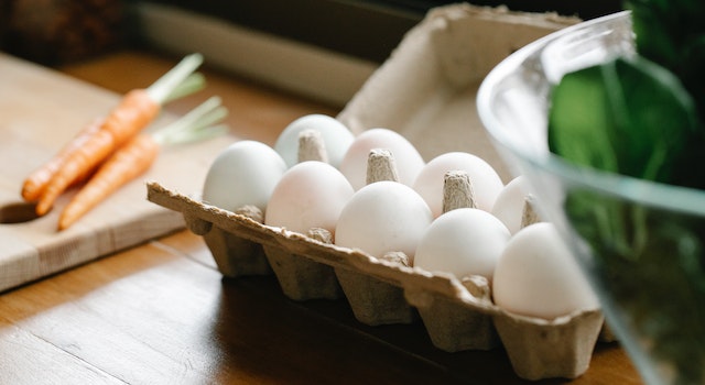 Is It True That Raw Eggs Help Dogs Gain Weight?