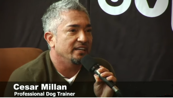 How Many Dogs Does Cesar Millan Have?
