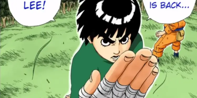why can't rock lee use ninjutsu