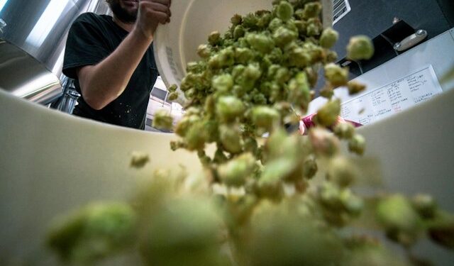 how does a garbage disposal work